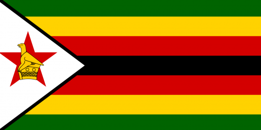 Crisis in Zimbabwe – Options for Coming to the UK