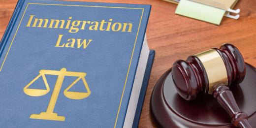 Human rights in immigration appeals