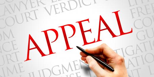 Immigration Appeal Solicitors welcome Home Office decision to review pending appeals
