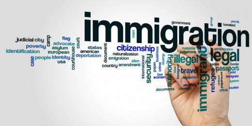 Business Immigration Solutions and the International Agreement Route