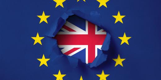 Immigration and Employment Issues for UK Employers of EU Nationals